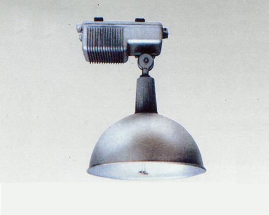 HGC302DʽS